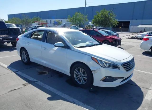 HYUNDAI SONATA 2015 5npe24af3fh119232