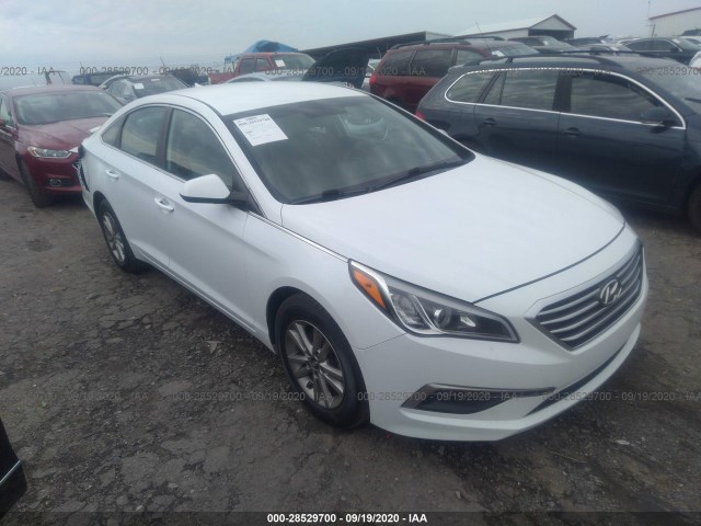 HYUNDAI SONATA 2015 5npe24af3fh130375