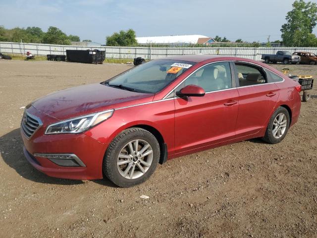 HYUNDAI SONATA 2015 5npe24af3fh142767