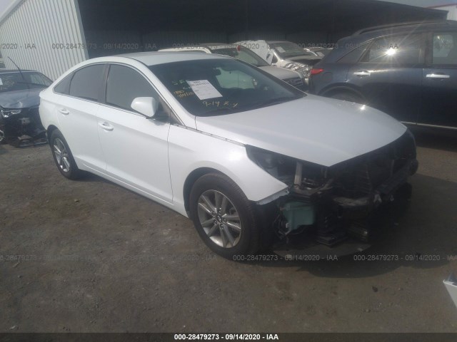 HYUNDAI SONATA 2015 5npe24af3fh150142