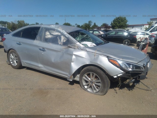 HYUNDAI SONATA 2015 5npe24af3fh159245