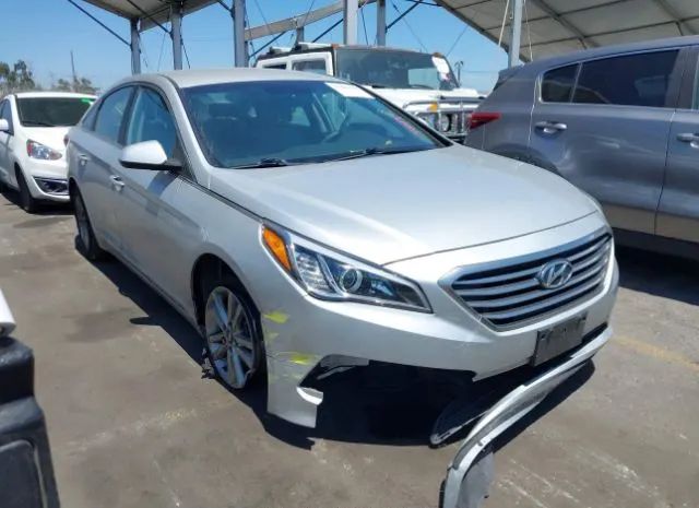 HYUNDAI SONATA 2015 5npe24af3fh163652