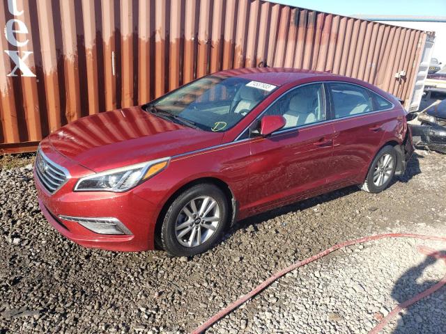 HYUNDAI SONATA 2015 5npe24af3fh171458