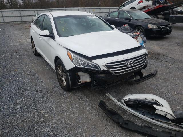 HYUNDAI SONATA SE 2015 5npe24af3fh177521