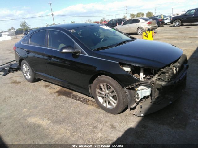 HYUNDAI SONATA 2015 5npe24af3fh182024