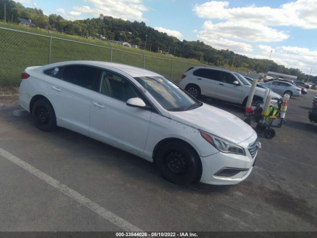 HYUNDAI SONATA 2015 5npe24af3fh184663