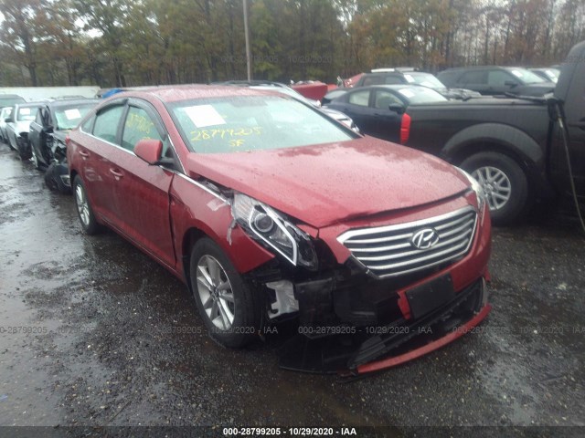 HYUNDAI SONATA 2015 5npe24af3fh196604