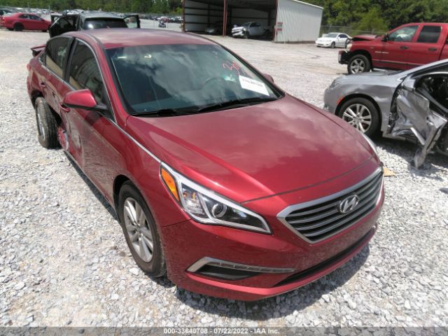 HYUNDAI SONATA 2015 5npe24af3fh207195