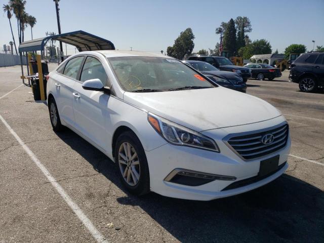 HYUNDAI SONATA SE 2015 5npe24af3fh231528