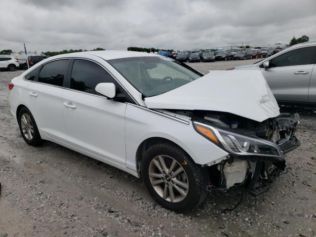 HYUNDAI SONATA 2015 5npe24af3fh241508