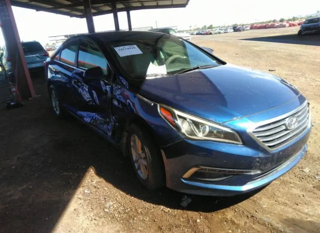 HYUNDAI SONATA 2015 5npe24af3fh249639