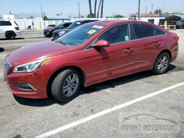 HYUNDAI SONATA 2015 5npe24af3fh250841