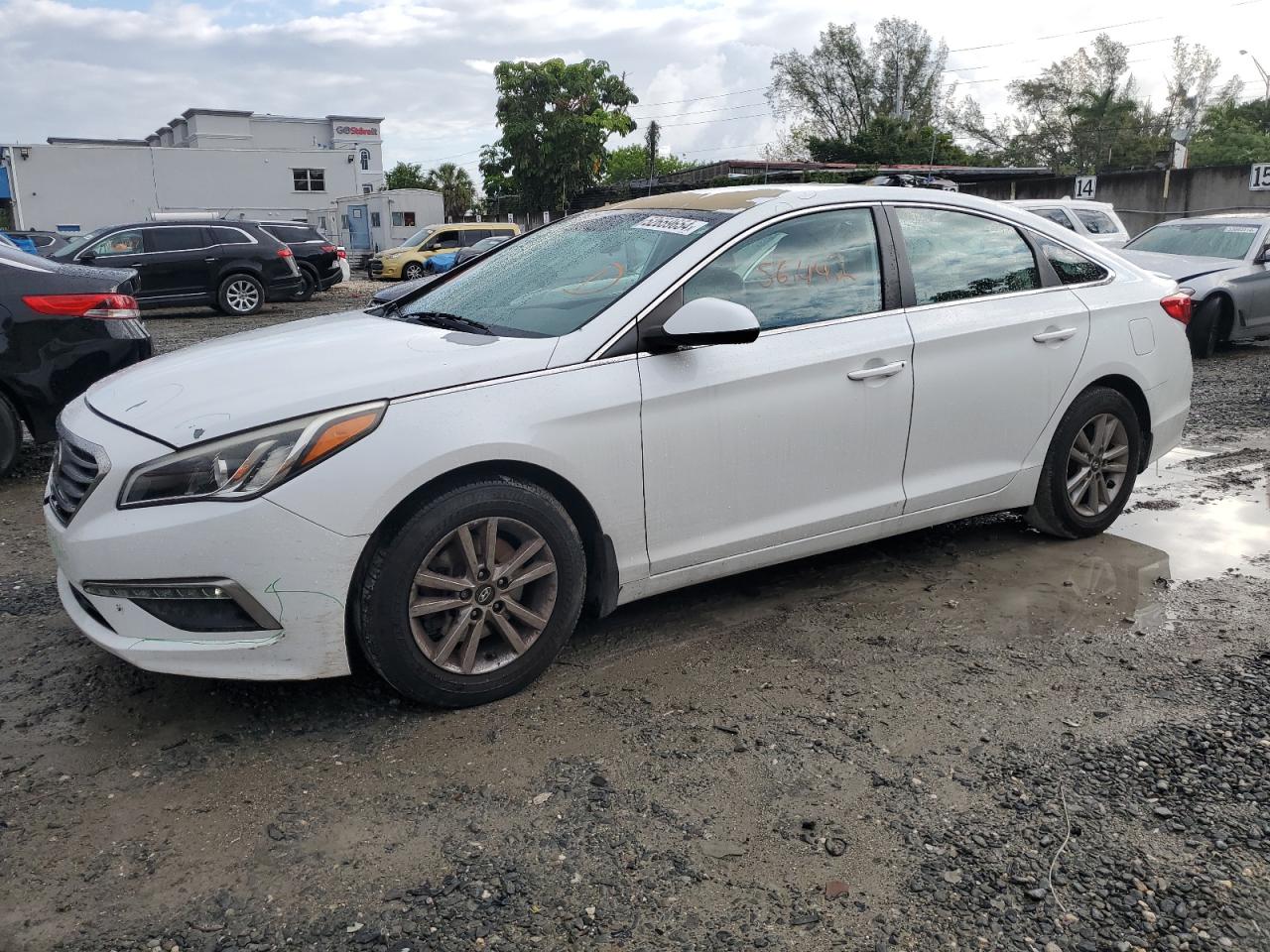 HYUNDAI SONATA 2015 5npe24af3fh255649