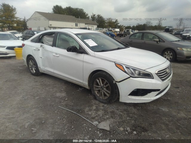 HYUNDAI SONATA 2015 5npe24af3fh259751