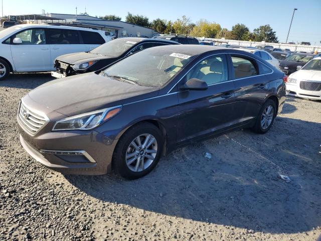 HYUNDAI SONATA 2015 5npe24af3fh259913