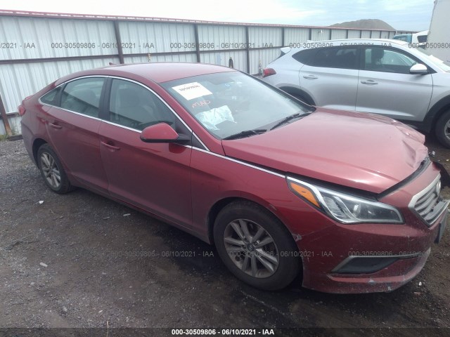 HYUNDAI SONATA 2016 5npe24af3gh262408