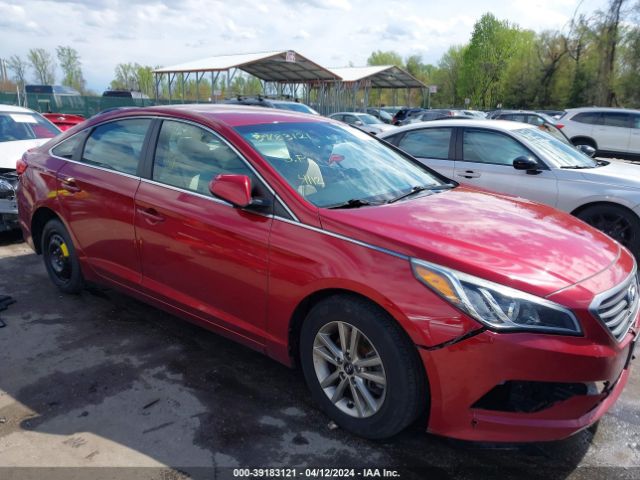 HYUNDAI SONATA 2016 5npe24af3gh262683