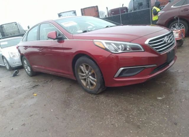 HYUNDAI SONATA 2016 5npe24af3gh262778