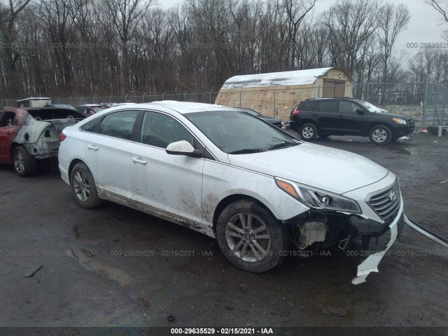 HYUNDAI SONATA 2016 5npe24af3gh263316