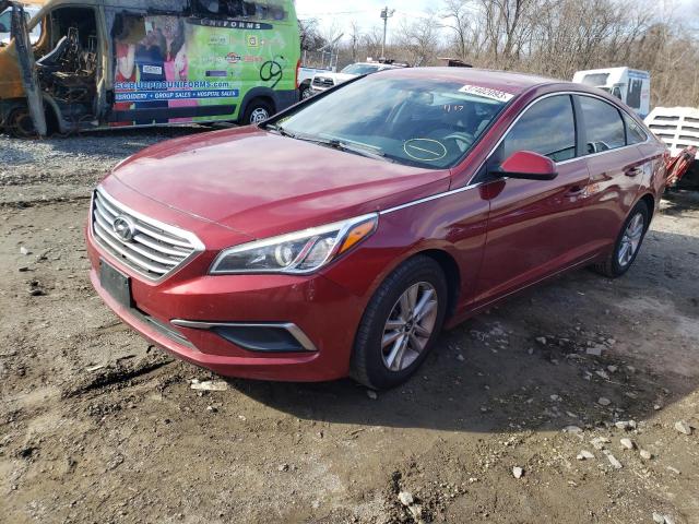 HYUNDAI SONATA SE 2016 5npe24af3gh263610