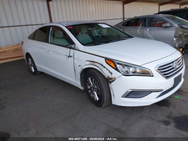 HYUNDAI SONATA 2016 5npe24af3gh269052