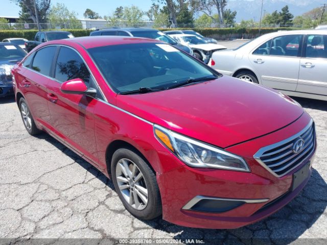 HYUNDAI SONATA 2016 5npe24af3gh278723