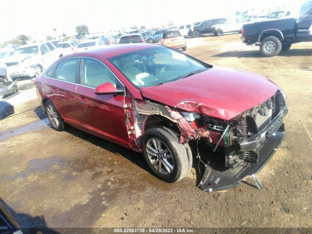 HYUNDAI SONATA 2016 5npe24af3gh280794