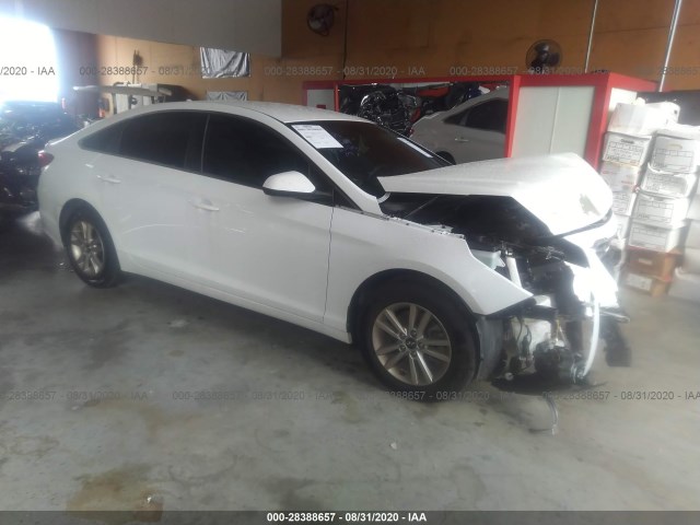 HYUNDAI SONATA 2016 5npe24af3gh285008