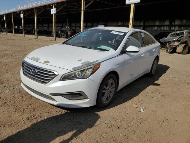 HYUNDAI SONATA SE 2016 5npe24af3gh288345