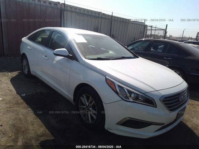 HYUNDAI SONATA 2016 5npe24af3gh293352