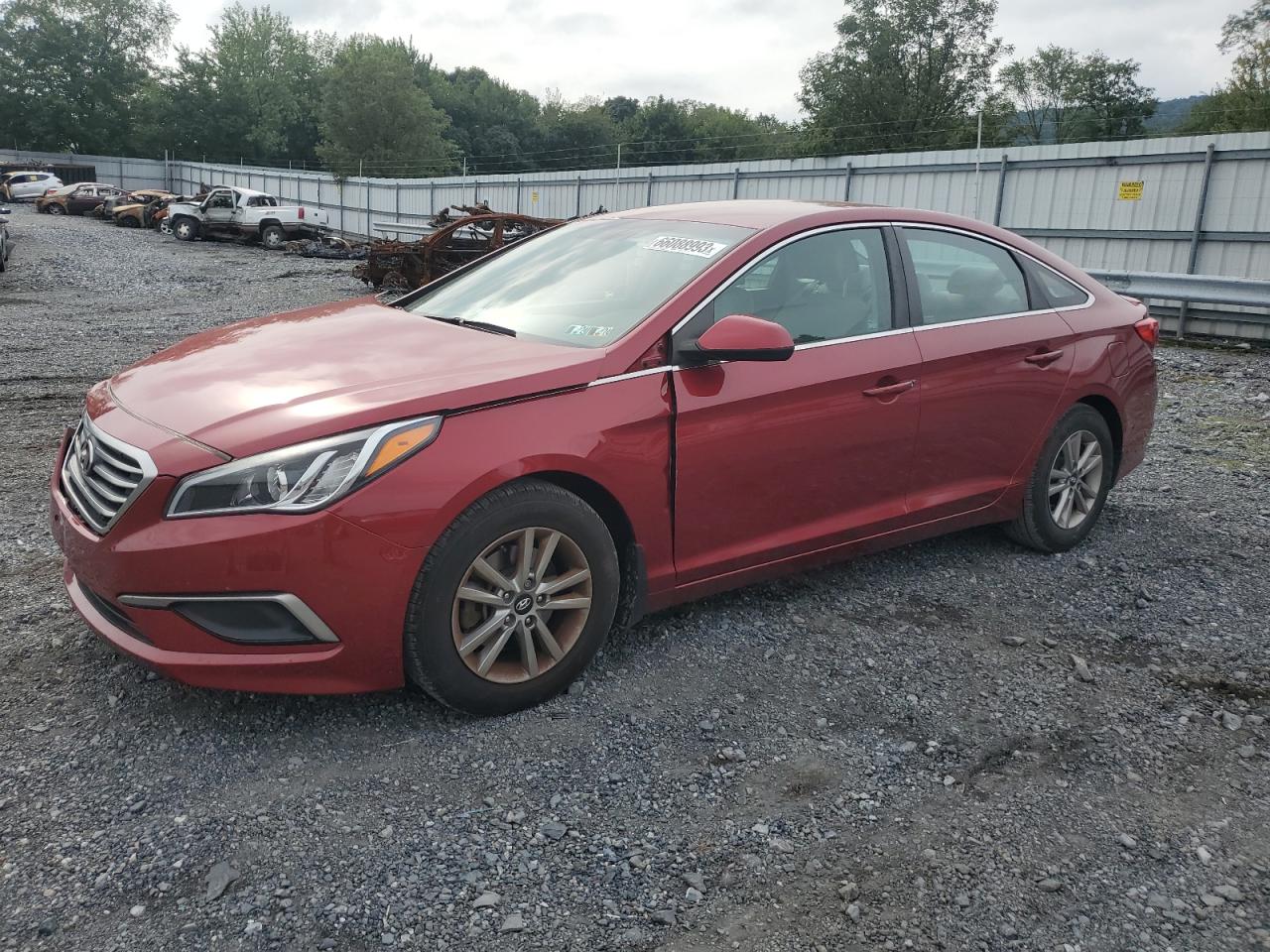 HYUNDAI SONATA 2016 5npe24af3gh293786