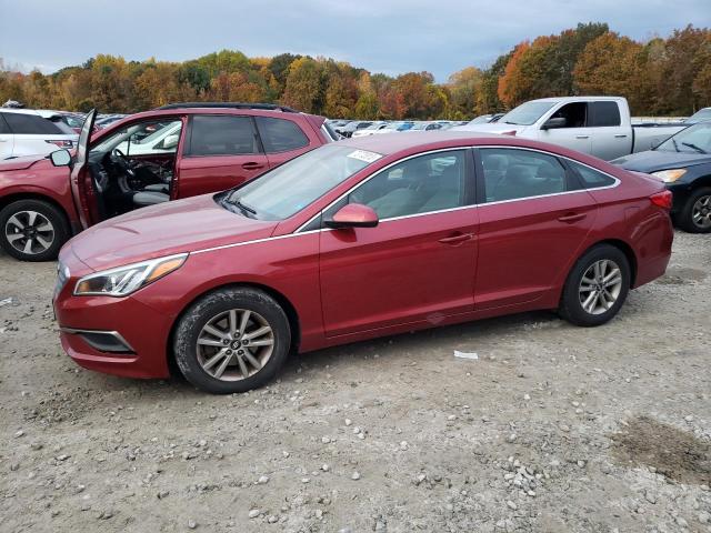 HYUNDAI SONATA 2016 5npe24af3gh295005