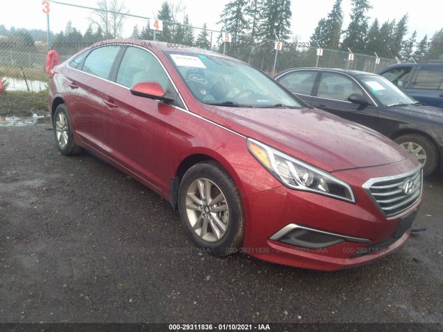 HYUNDAI SONATA 2016 5npe24af3gh295201