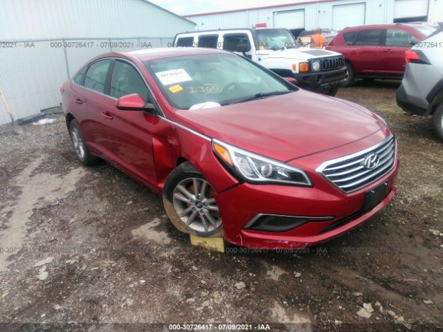 HYUNDAI SONATA 2016 5npe24af3gh299653