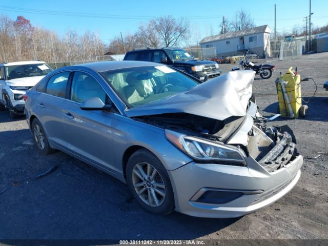 HYUNDAI SONATA 2016 5npe24af3gh308299