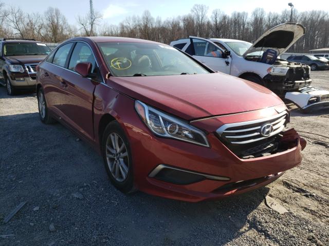 HYUNDAI SONATA SE 2016 5npe24af3gh309100