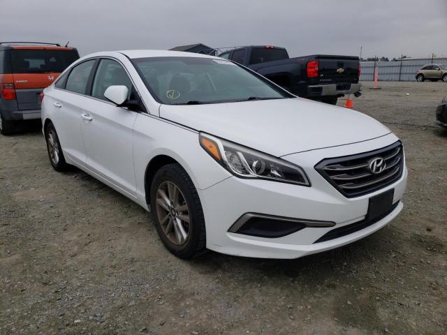 HYUNDAI SONATA SE 2016 5npe24af3gh312966