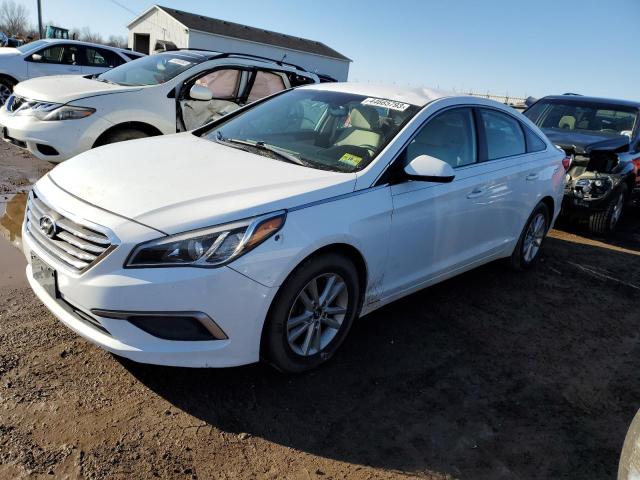 HYUNDAI SONATA 2016 5npe24af3gh314720