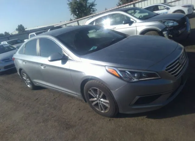 HYUNDAI SONATA 2016 5npe24af3gh316550