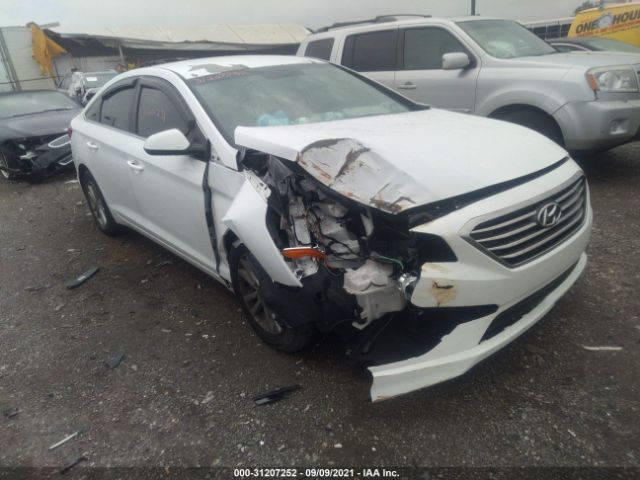 HYUNDAI SONATA 2016 5npe24af3gh319996