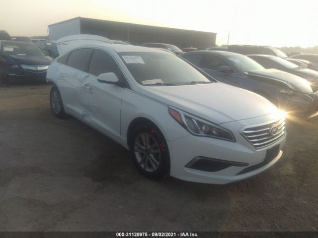 HYUNDAI SONATA 2016 5npe24af3gh320890