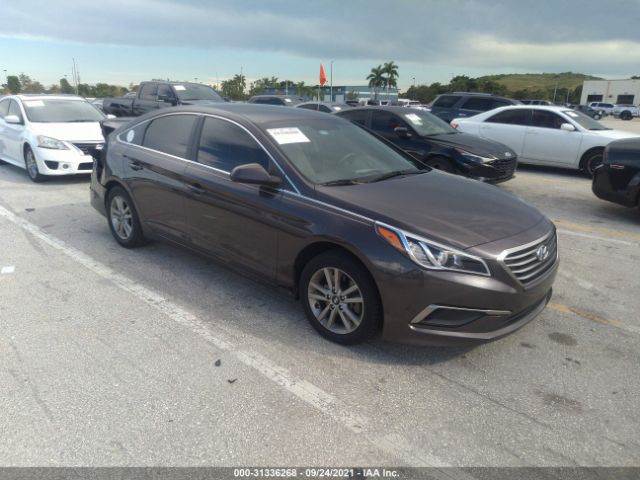 HYUNDAI SONATA 2016 5npe24af3gh326902