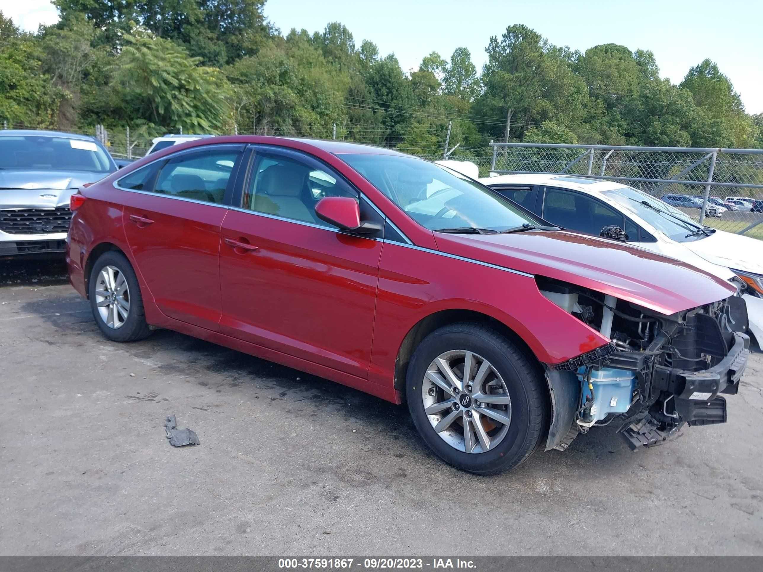 HYUNDAI SONATA 2016 5npe24af3gh328827