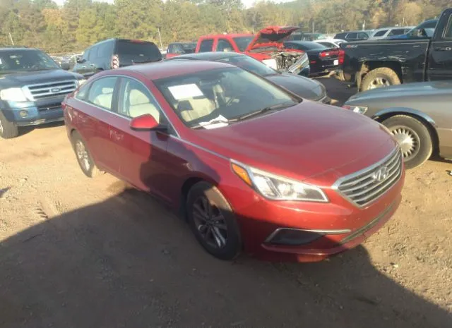 HYUNDAI SONATA 2016 5npe24af3gh330996