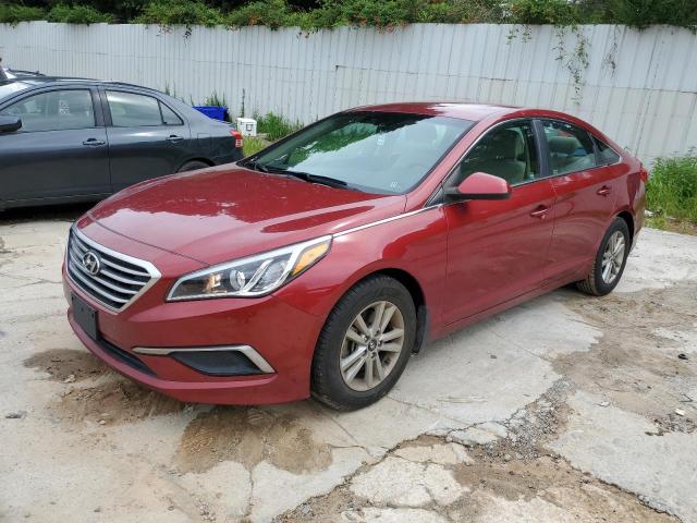 HYUNDAI SONATA SE 2016 5npe24af3gh331405