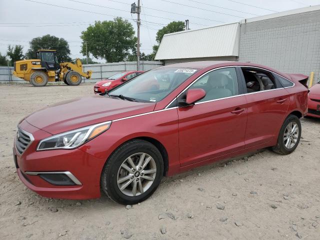 HYUNDAI SONATA 2016 5npe24af3gh332585