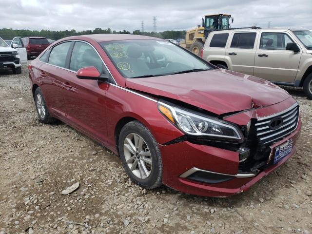 HYUNDAI SONATA SE 2016 5npe24af3gh334322