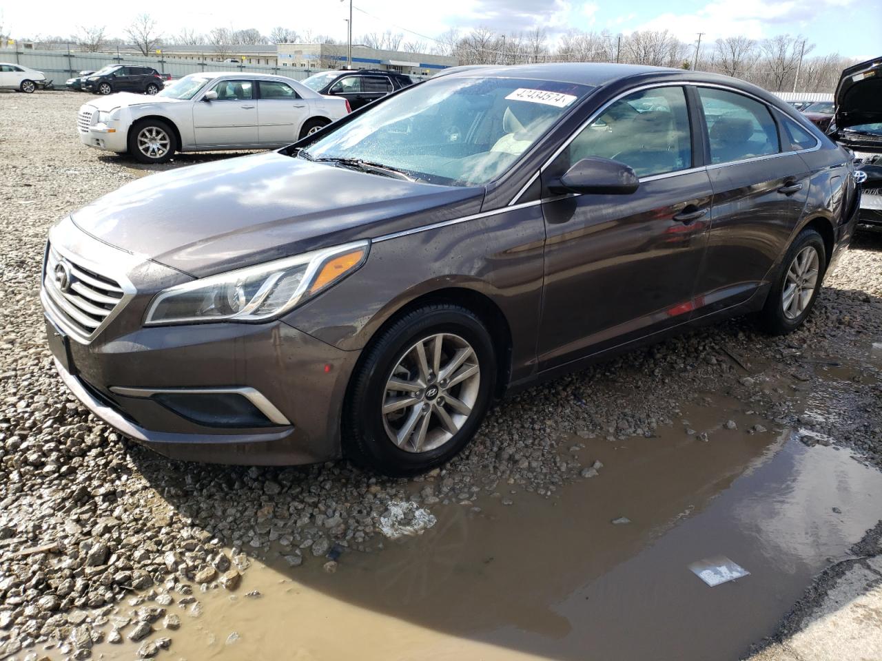 HYUNDAI SONATA 2016 5npe24af3gh334899