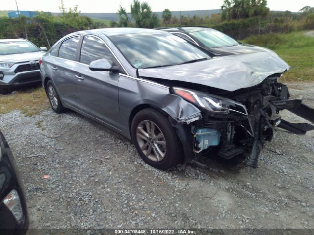 HYUNDAI SONATA 2016 5npe24af3gh337785