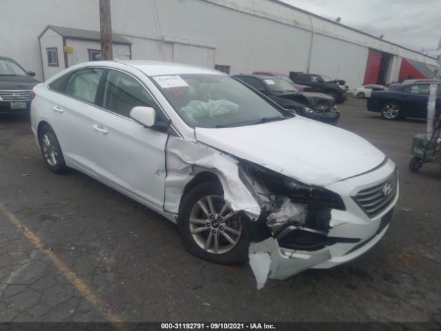 HYUNDAI SONATA 2016 5npe24af3gh339830